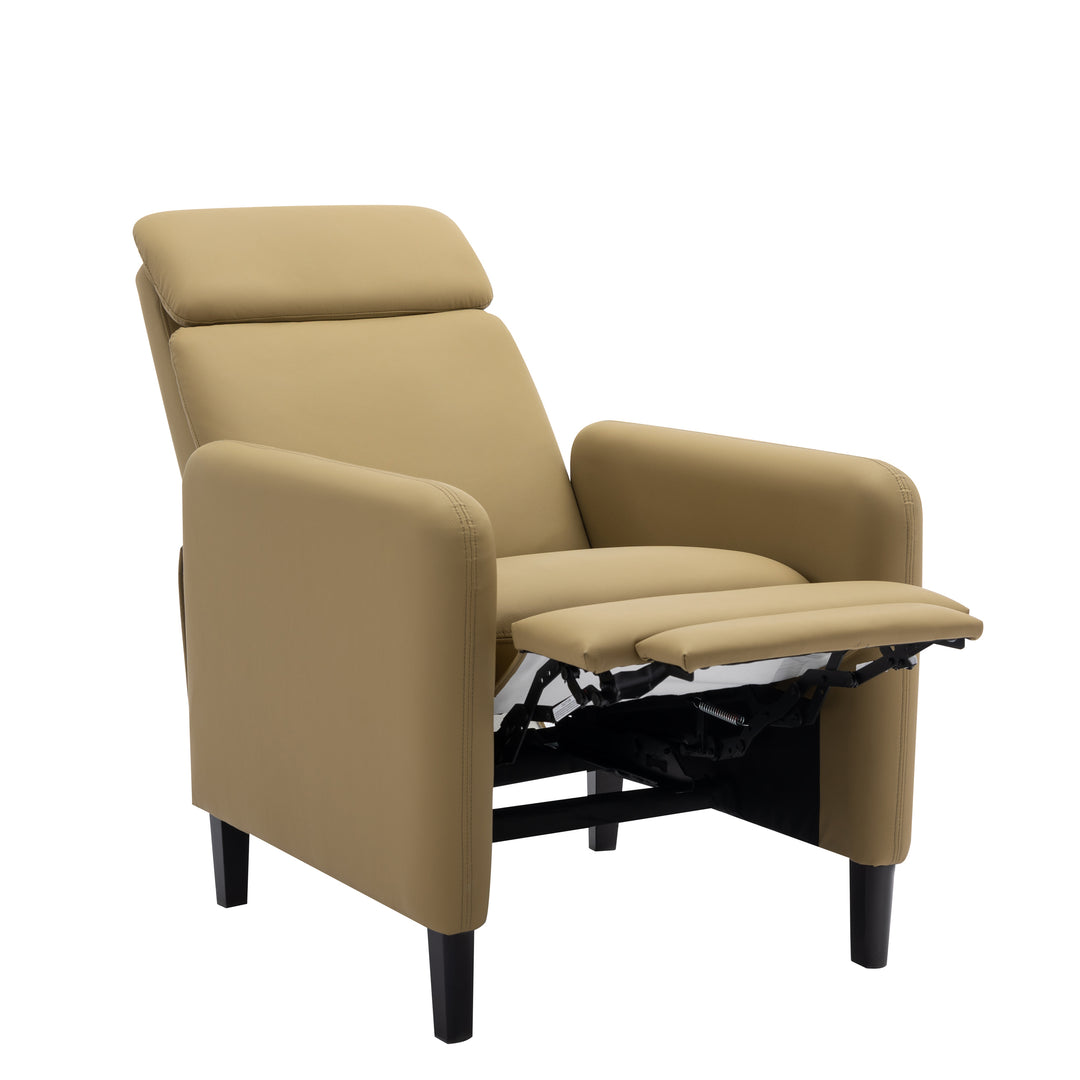 Arisa Adjustable Recliner Chair